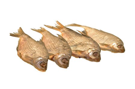 Trockener Fisch isoliert auf weißem Hintergrund