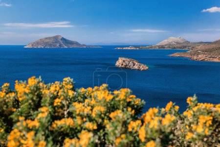 Foto de Cape Sounion with spring flowers against little islands in the sea, Athens area, Greece - Imagen libre de derechos