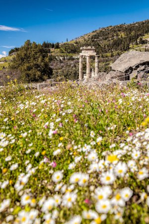 Photo for Delphi with ruins of the Temple in Greece - Royalty Free Image