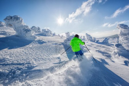 Téléchargez les photos : Ski alpin skieur en haute montagne contre la forêt d'hiver conte de fées. - en image libre de droit