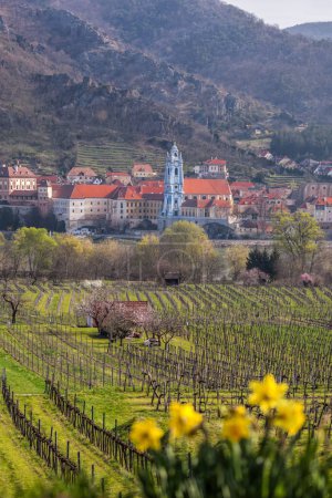 Foto de Pueblo de Durnstein durante la primavera con el río Danubio en el valle de Wachau (UNESCO), Austria - Imagen libre de derechos