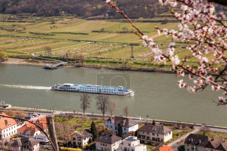 Téléchargez les photos : Spitz village avec bateau sur le Danube dans la vallée de Wachau (UNESCO) au printemps, Autriche - en image libre de droit