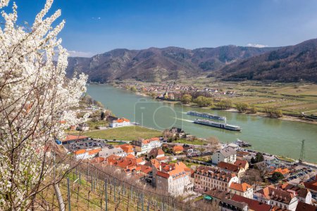 Foto de Pueblo Spitz con barcos en el río Danubio en el valle de Wachau (UNESCO) durante la primavera, Austria - Imagen libre de derechos