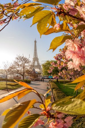 Foto de Torre Eiffel durante la hermosa primavera en París, Francia - Imagen libre de derechos