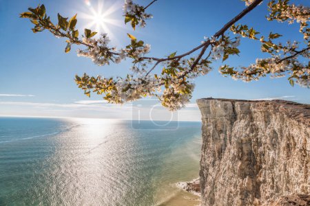 Photo for Beachy Head with chalk cliffs against spring limb near the Eastbourne, East Sussex, England - Royalty Free Image