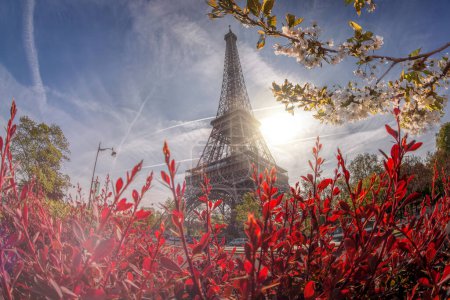 Foto de Torre Eiffel durante la primavera en París, Francia - Imagen libre de derechos