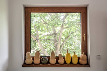 Foto de Serie de calabazas en alféizar de ventana contra árbol - Imagen libre de derechos