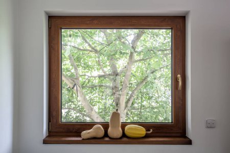 Photo for Series of pumpkins on window sill against tree - Royalty Free Image