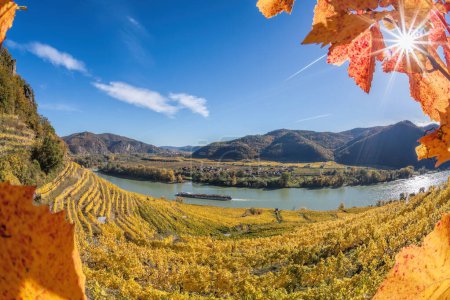 Photo for Autumn panorama of Wachau valley (Unesco world heritage site) with ship on Danube river near the Weissenkirchen village in Lower Austria, Austria - Royalty Free Image