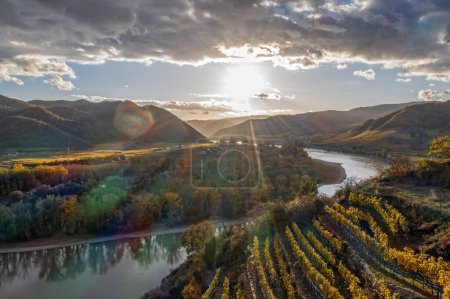 Foto de Panorama del valle de Wachau (UNESCO) con viñedos de otoño contra el río Danubio cerca del pueblo de Durnstein en Baja Austria, Austria - Imagen libre de derechos
