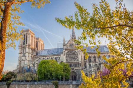Paris, Kathedrale Notre Dame mit Frühlingsbäumen in Frankreich