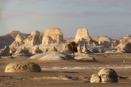 Téléchargez les photos : White desert in western Egypt taken in January 2022 - en image libre de droit