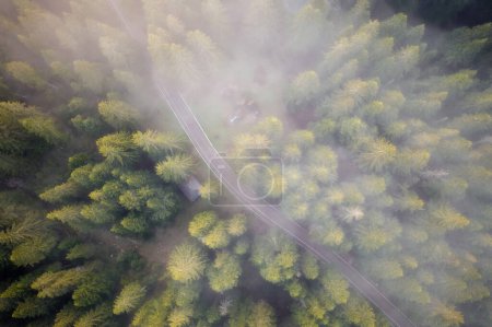 Téléchargez les photos : Forest from above with fog rolling in in Montenegro, taken in June 2022 - en image libre de droit