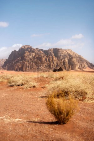 Photo for Red Desert in northern Saudi Arabia taken in January 2022 - Royalty Free Image