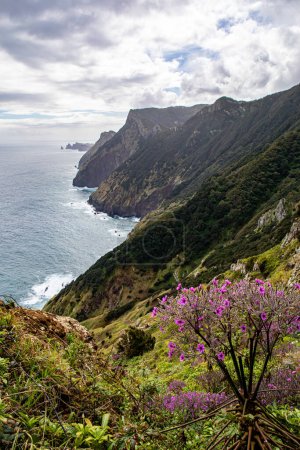 Photo for Vereda do Larano hiking trail, Madeira - Royalty Free Image