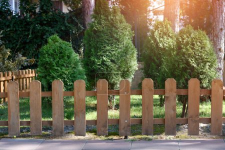 Photo for Small wooden fence near thujas on sunny day outdoors - Royalty Free Image