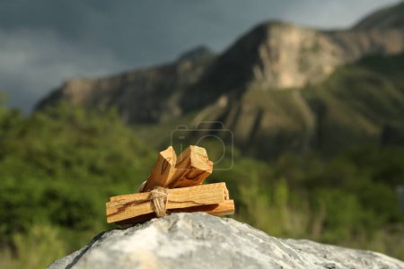 Téléchargez les photos : Beaucoup de palo santo bâtons sur la surface de la pierre dans les hautes montagnes - en image libre de droit