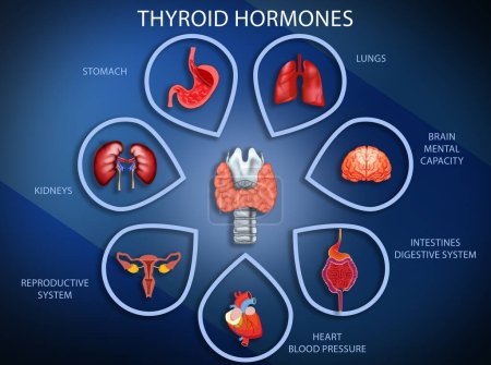 Illustration de la glande thyroïde et différentes icônes montrant quels organes humains il affecte sur fond bleu. Affiche médicale