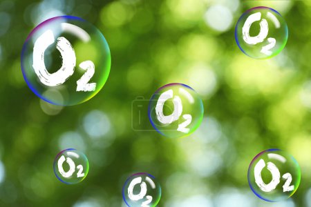 Foto de Moléculas de O2 en burbujas y visión borrosa del fondo verde. Concepto de liberación de oxígeno - Imagen libre de derechos
