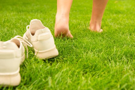 Photo for Woman leaving her sneakers and walking away barefoot on green grass, closeup - Royalty Free Image