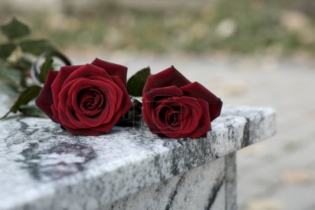 Rote Rosen auf Granitgrabstein im Freien, Platz für Text. Trauerzeremonie