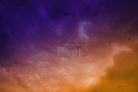 Téléchargez les photos : Vue pittoresque des oiseaux dans le ciel avec de gros nuages pluvieux - en image libre de droit