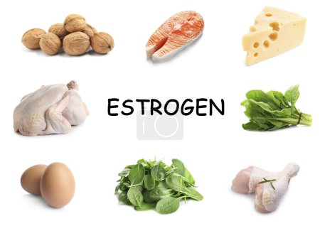 Foto de Diferentes alimentos ricos en estrógeno que pueden ayudarle a mantenerse femenino. Diferentes productos sabrosos sobre fondo blanco - Imagen libre de derechos
