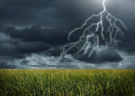 Blick auf Feld und bewölkten Himmel mit Blitz. Gewitter