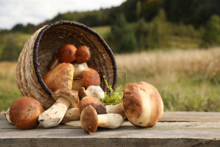 Fresh wild mushrooms on wooden table outdoors, space for text