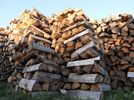 Photo for Piles of dry stacked firewood in grass outdoors - Royalty Free Image