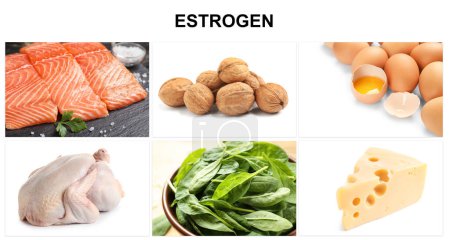 Téléchargez les photos : Différents aliments riches en œstrogènes qui peuvent vous aider à rester féminine. Différents produits savoureux sur fond blanc - en image libre de droit
