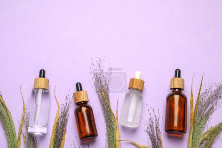 Photo for Flat lay composition with bottles of face serum and beautiful dried plants on violet background. Space for text - Royalty Free Image
