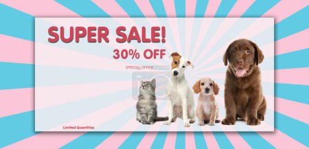 Publicidad cartel Tienda de mascotas VENTA. Lindo gato, perros y oferta de descuento en el fondo de color, diseño de la bandera