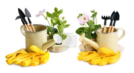 Foto de Regaderas, flores y diferentes herramientas de jardinería sobre fondo blanco. Diseño de banner - Imagen libre de derechos
