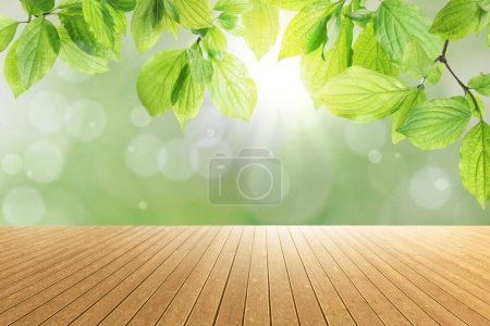 Foto de Superficie de madera vacía y hermosas hojas verdes sobre fondo borroso. Efecto Bokeh - Imagen libre de derechos