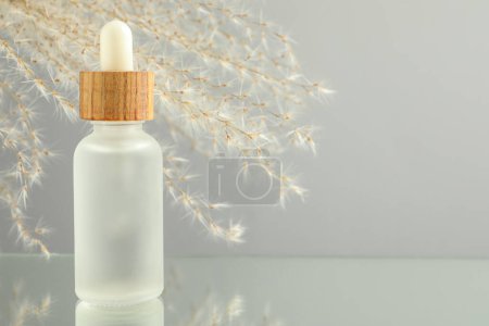 Photo for Bottle of face serum and beautiful dried flowers on light grey background, closeup. Space for text - Royalty Free Image