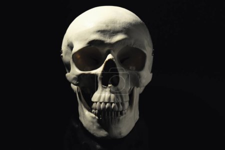 Weißer menschlicher Schädel mit Zähnen auf schwarzem Hintergrund