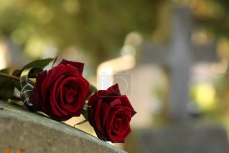 Red roses on grey tombstone outdoors on sunny day, space for text. Funeral ceremony-stock-photo