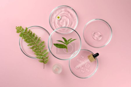 Photo for Petri dishes with different plants and cosmetic products on pink background, flat lay - Royalty Free Image