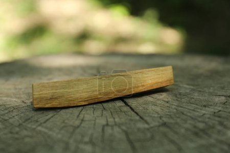 Photo for Palo santo stick on wooden stump outdoors, closeup - Royalty Free Image