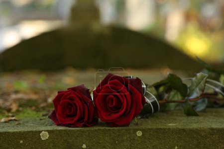 Rote Rosen auf grauem Grabstein im Freien an sonnigen Tagen, Platz für Text. Trauerzeremonie