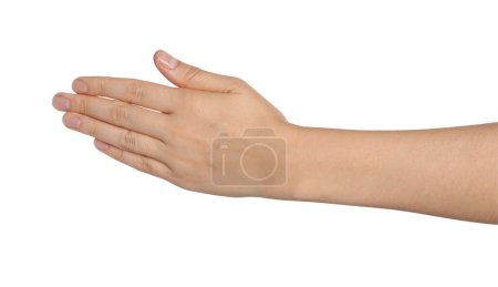 Photo for Woman holding out hand on white background, closeup - Royalty Free Image
