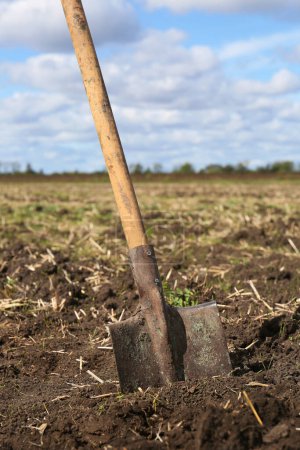 Photo for Shovel with wooden handle in field soil - Royalty Free Image