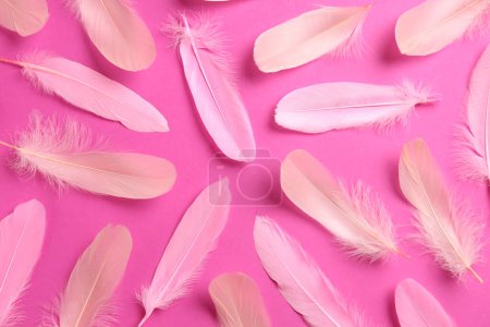 Foto de Beautiful feathers on light pink background, flat lay - Imagen libre de derechos