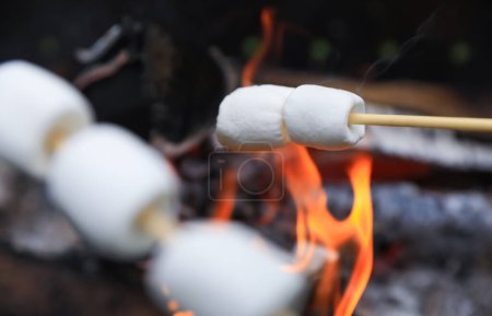 Foto de Deliciosos malvaviscos hinchados asándose sobre hoguera, primer plano - Imagen libre de derechos