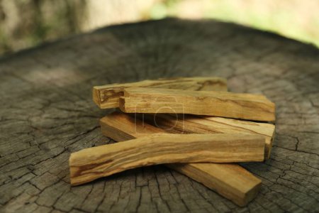 Photo for Palo santo sticks on wooden stump outdoors, closeup - Royalty Free Image