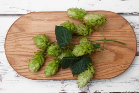 Board with branch of fresh hops on white wooden table, top view