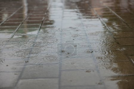 Foto de Vista de la calle de la ciudad con charcos en día lluvioso, primer plano - Imagen libre de derechos