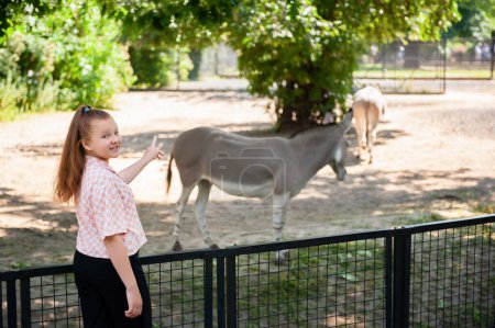 Photo for Cute girl watching wild asses in zoo - Royalty Free Image