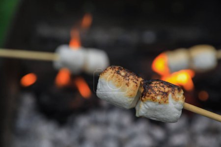 Foto de Deliciosos malvaviscos hinchados que se asan sobre una hoguera, de cerca. Espacio para texto - Imagen libre de derechos